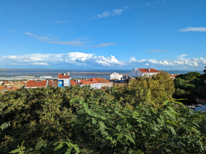 Fotografia captada pelo Pixel 7a