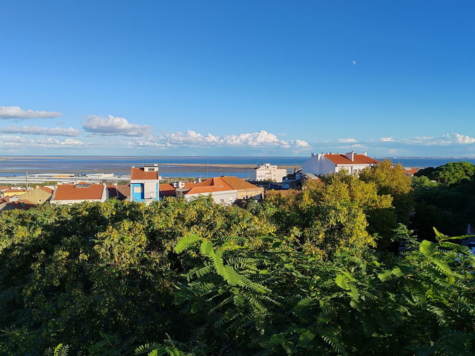 Fotografia captada com a câmara principal do Honor Magic Vs