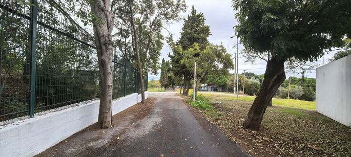 Imagem captada pelo sensor Ultra grande angular