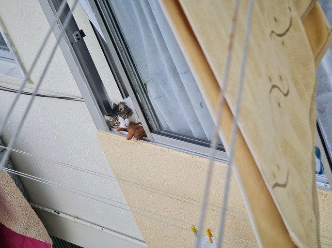 Samsung Galaxy Note 20 Ultra