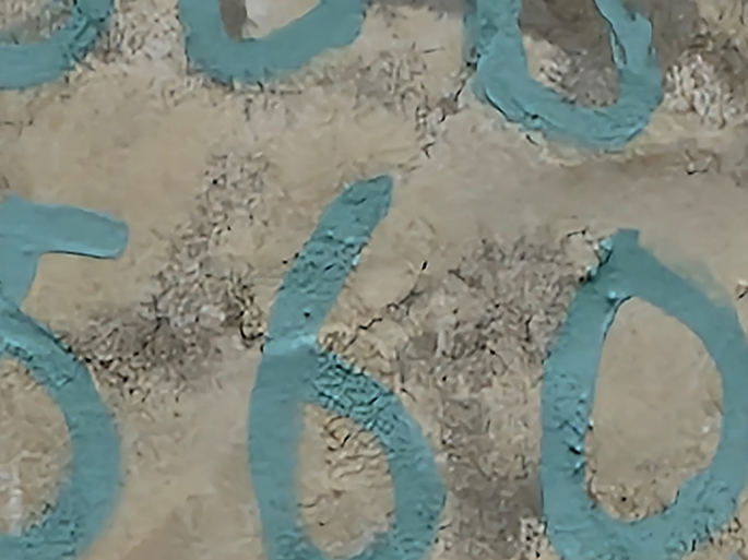 Imagem captada com zoom de 100X do Samsung Galaxy S22 Ultra (com compressão)