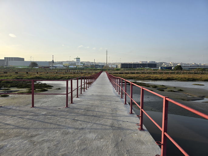 Samsung Galaxy S24 Ultra