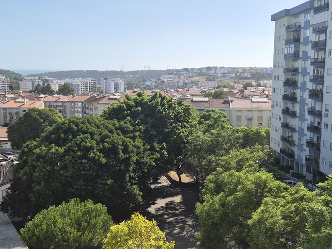 Sem Zoom