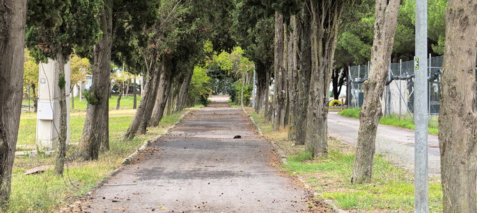 Telefoto periscópio, zoom 3,7x