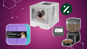 5 gadgets em promoção que vão pôr o teu patudo a abanar a cauda!