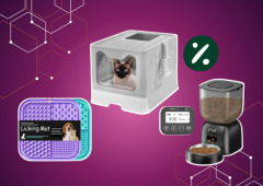 5 gadgets em promoção que vão pôr o teu patudo a abanar a cauda!