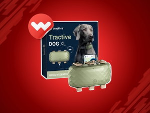 5 Gadgets tech para pais de pets com descontos até 32% na Worten!