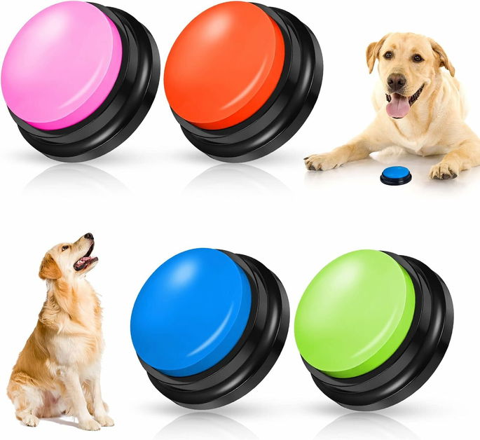 Buzzer, 4 Pack