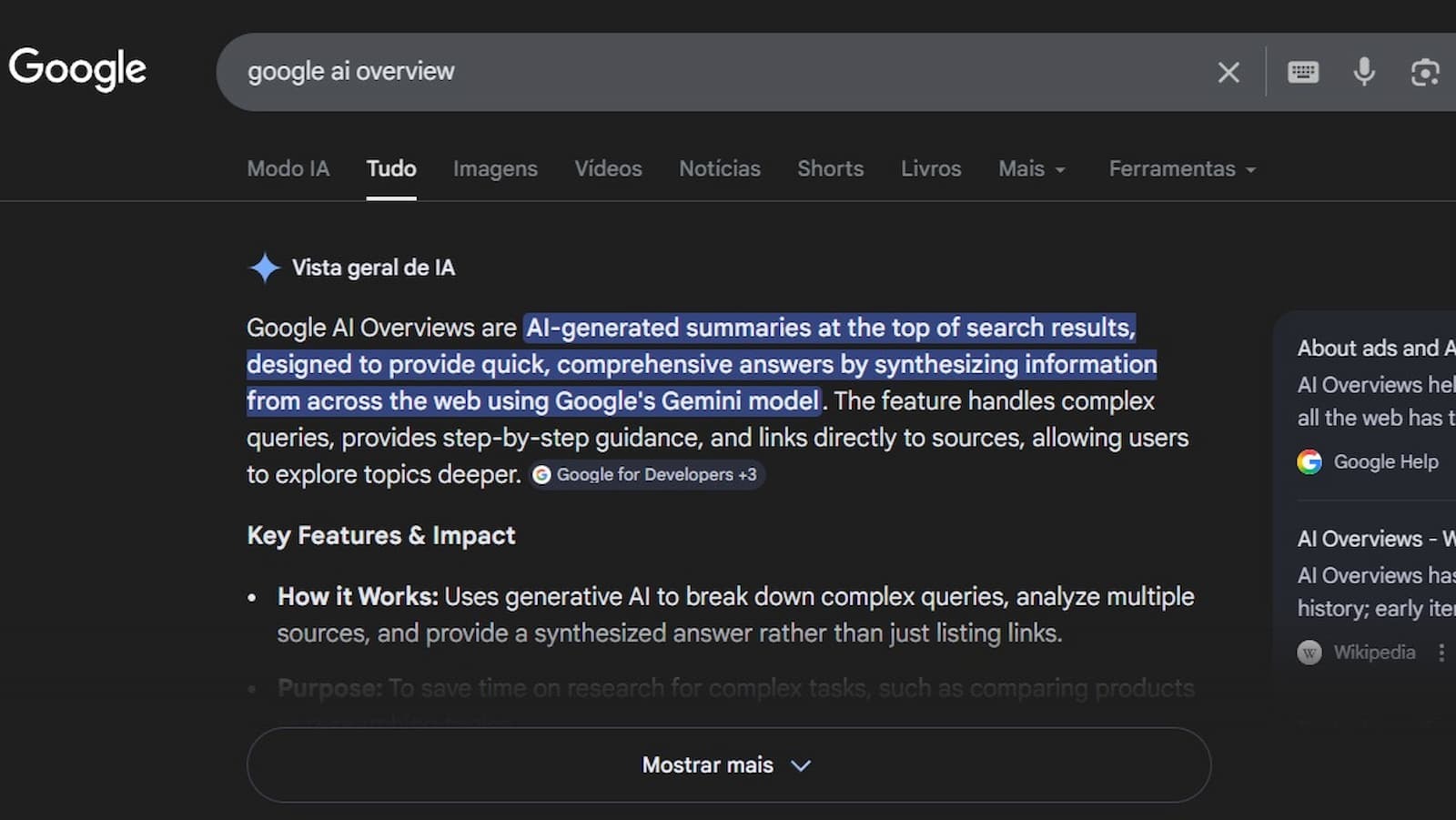 Google Search