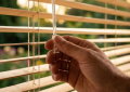 A hora certa para arejar a casa no verão sem deixar entrar mais calor do que sai