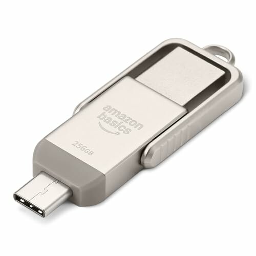 Amazon Basics Memória USB 256 GB