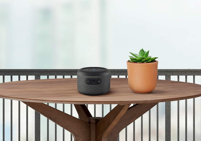 Amazon Echo Input