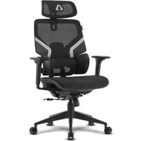 Alpha Gamer Aurora