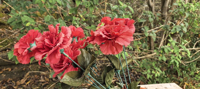 Foto do sensor principal