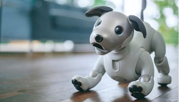 cão-robô AIBO da Sony