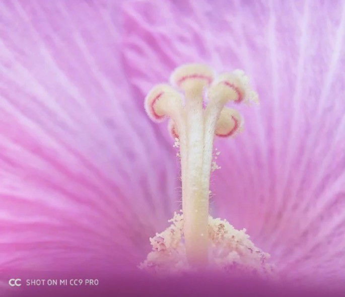 Xiaomi Mi Note 10