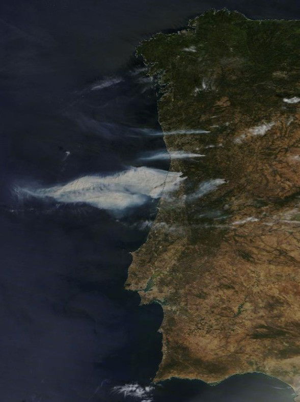 Fogo Portugal