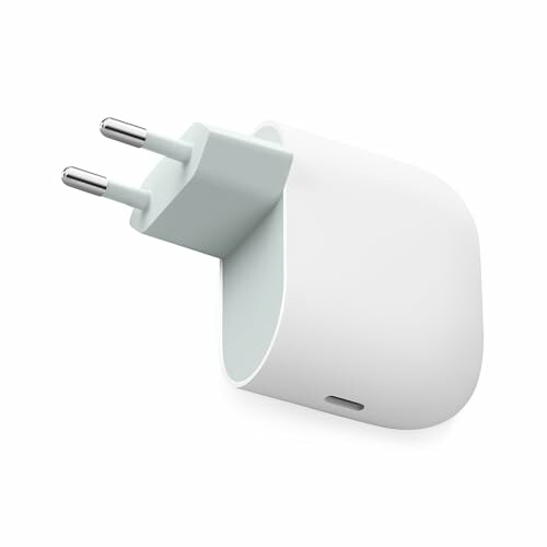 Cargador USB-C 45 W Google Nieve