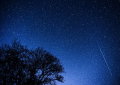 Chuva de estrelas Perseidas em Portugal: quando, como e onde ver o fenómeno