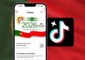 Eleições em Portugal: TikTok ativa um conjunto de medidas especiais e promete maior transparência
