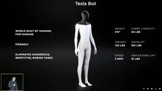 Tesla Bot