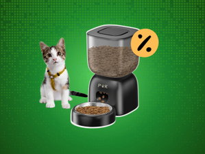 Este é o gadget que precisas para o teu pet por menos de 40€ na Amazon!