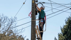 Fibra ótica é expandida em mais 4 localidades em Portugal
