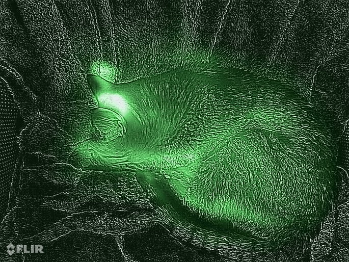 c&acirc;mara t&eacute;rmica FLIR