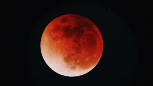 Há um novo eclipse para ver em Portugal já esta semana