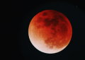 Há um novo eclipse para ver em Portugal já esta semana