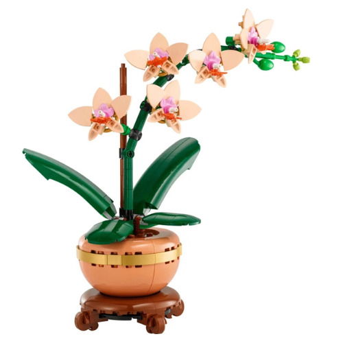 LEGO Botanical Collection Botanicals Orqu&iacute;dea em Miniatura - 10343