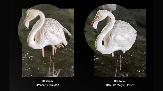 Honor Magic 8 Pro x iPhone 17 Pro Max