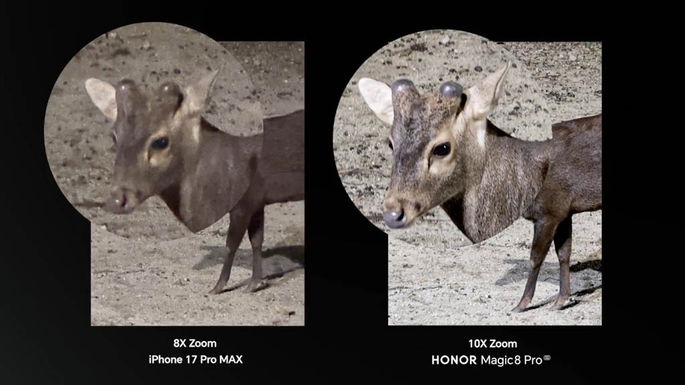 Honor Magic 8 Pro x iPhone 17 Pro Max