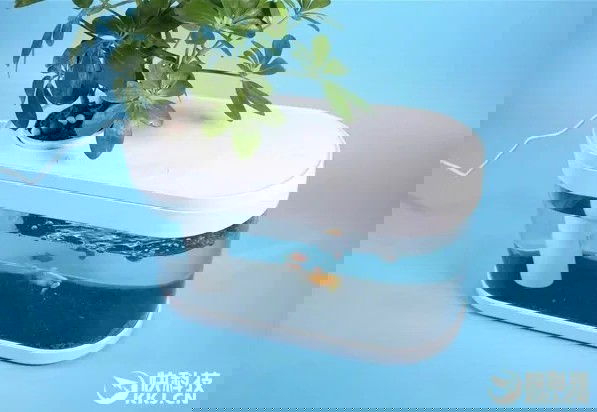 xiaomi fish tank