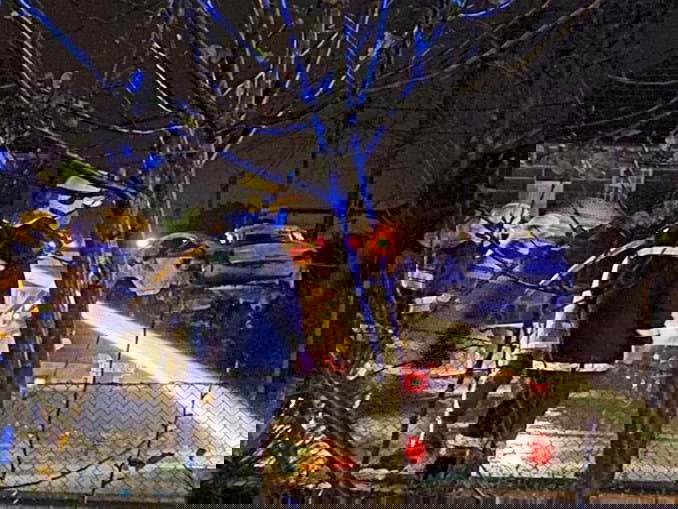 acidente vitima mortal Tesla Model X