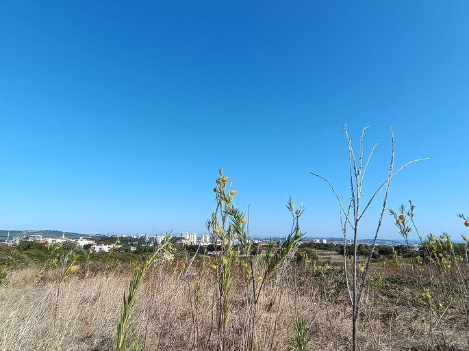 imagem de paisagem na natureza captada pelo Redmi Note 12 Pro+