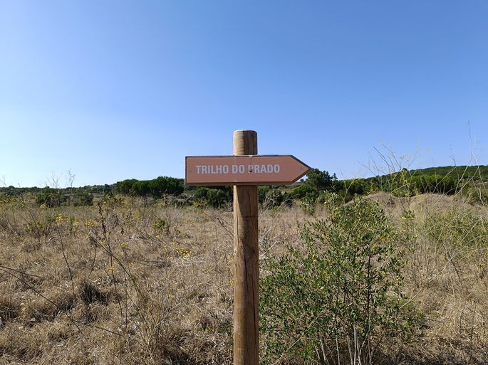 imagem de uma placa num trilho