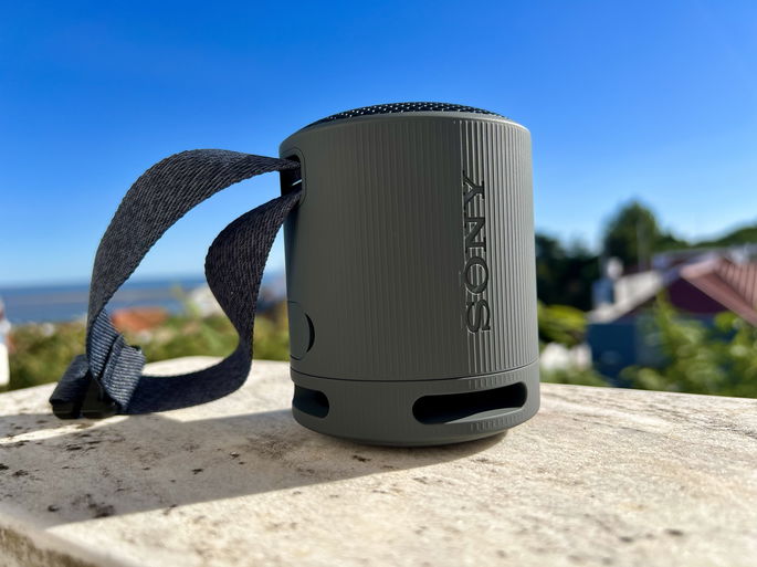 Sony SRS-XB100