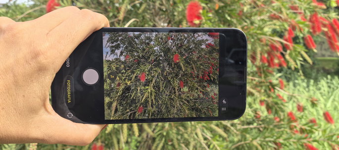 iPhone 17e c&acirc;mara