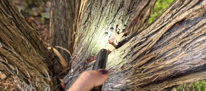 Ulefone RugOne Xever 7 Pro lanterna