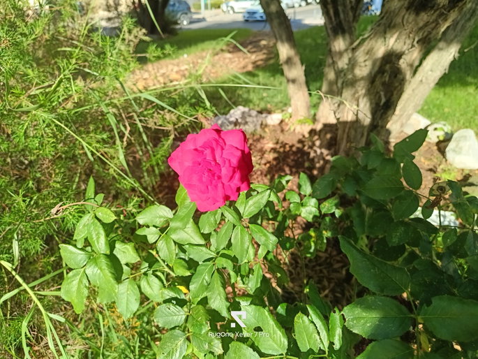 Ulefone RugOne Xever 7 Pro sensor principal