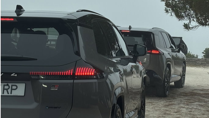 RAV4sujo