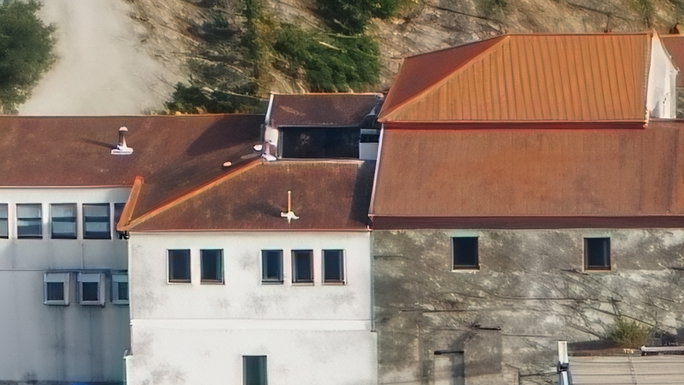 Teleobjetiva 120x