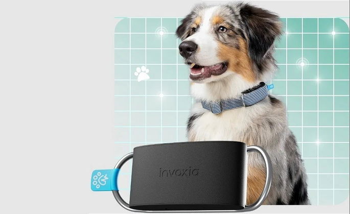 Invoxia