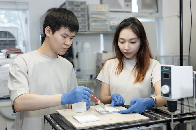 E-Coating