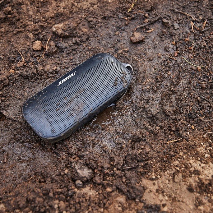 Bose SoundLink Flex wireless