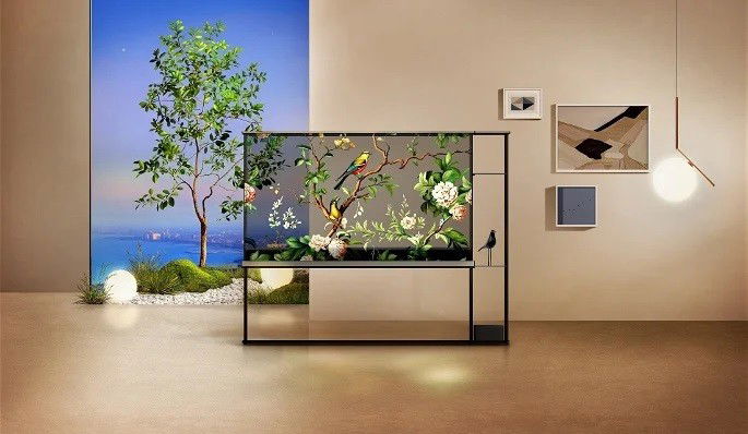 LG OLED transparente