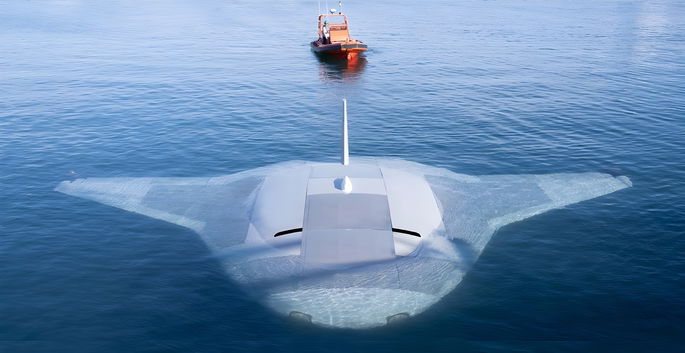 “Manta Ray’