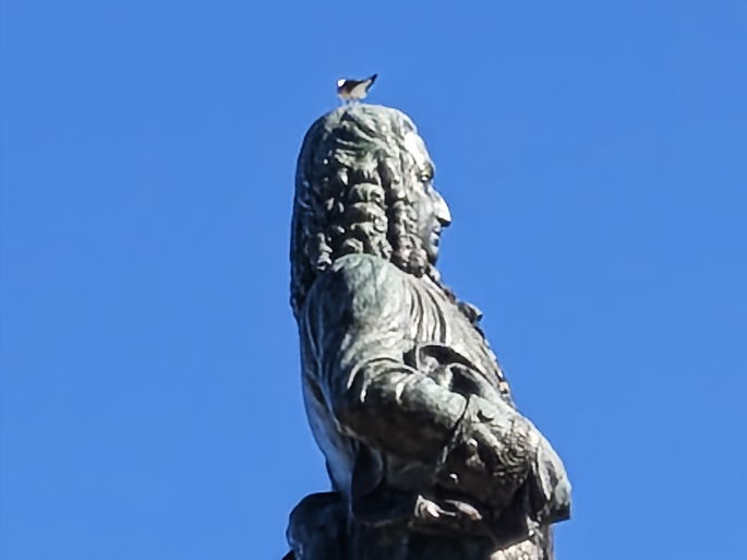 Principal 20x (máximo)