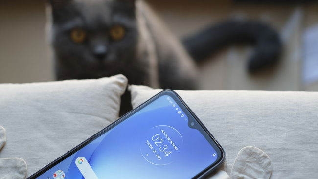 Motorola Moto G50